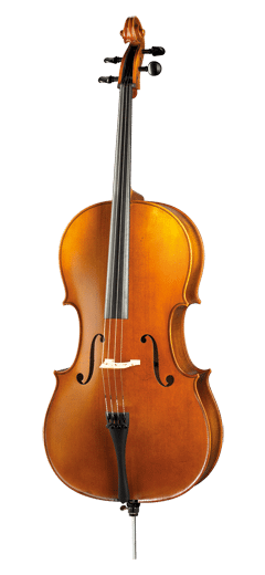 Paesold PA601E Cello