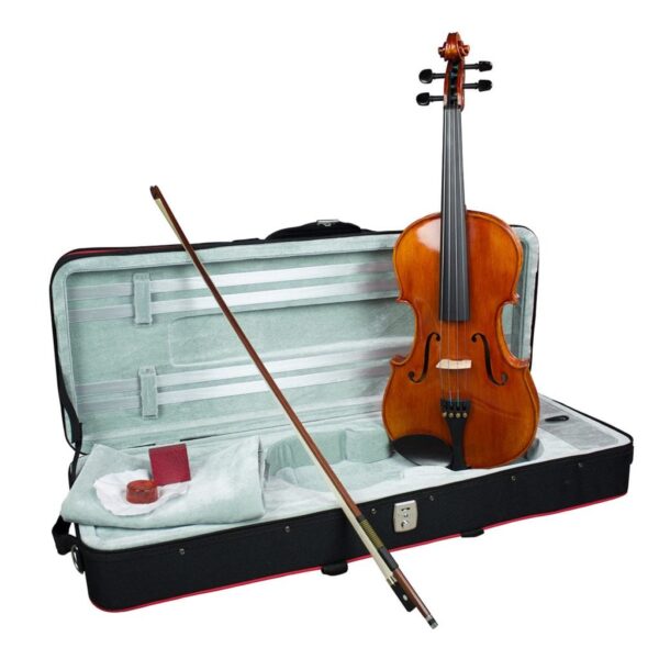 The Piacenza viola outfit is a step up on the standard student violas