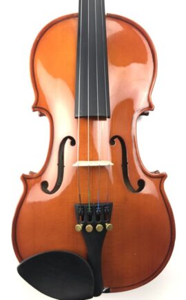 Stentor Student Violin front