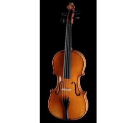 Paesold 804AS violin