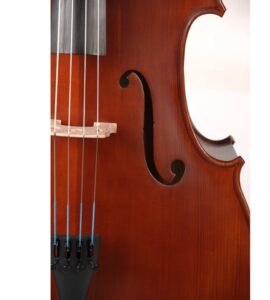 Caswells Maestro Cello detail