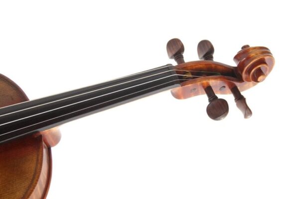 Guarneri Violin (Interpretation)