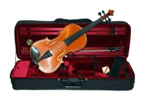 Caswells Maestro viola outfit