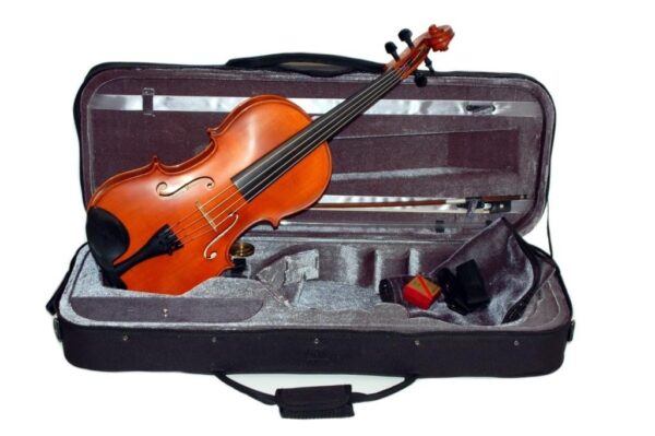 Caswells Etude Viola outfit