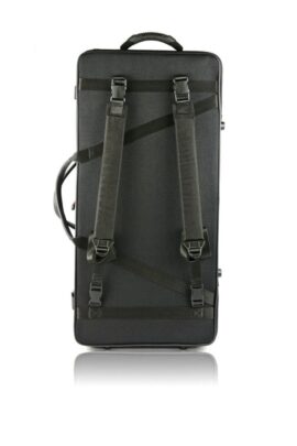 BAM Classic double violin & viola case back black