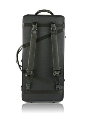 BAM Classic double violin & viola case back black