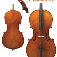 Primavera 200 cello outfit 4/4 size - Caswells Strings UK