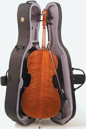 Stentor Conservatoire Cello outfit - Caswells Strings UK