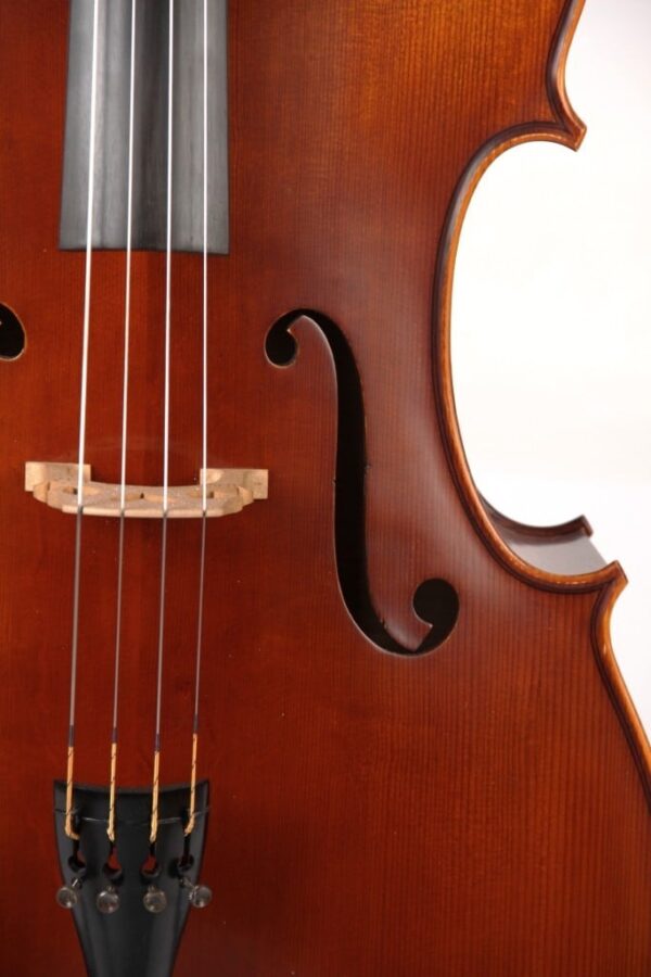 Caswell's Solo cello