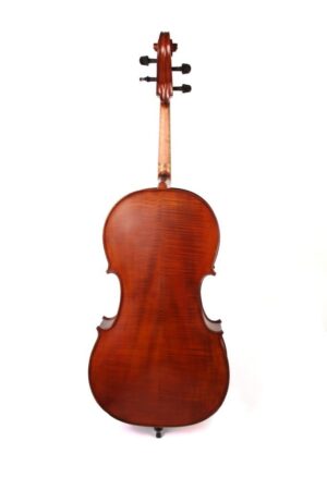 Caswell's Maestro Cello outfit