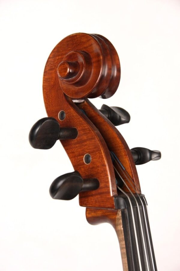 Caswell's Maestro Cello outfit
