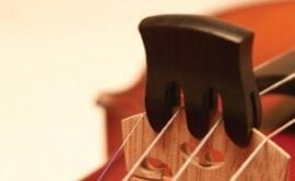 Trident cello mute (triple pronged ebony)