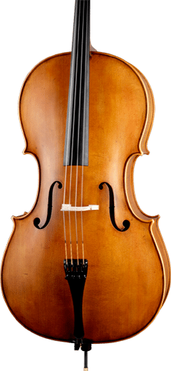 Paesold PA602A cello
