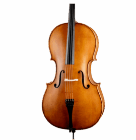 Paesold PA602E Cello
