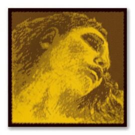Evah Pirazzi GOLD violin E string