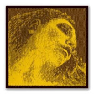 Evah Pirazzi Gold violin G string