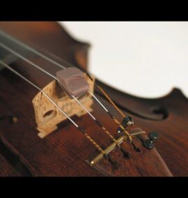 Spector Violin mute