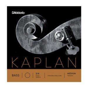 Kaplan Double Bass D string