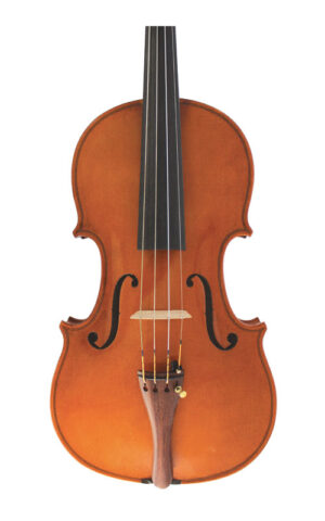 Wessex V series Violin