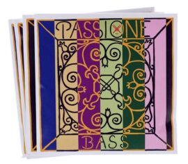 Passione Double Bass E string