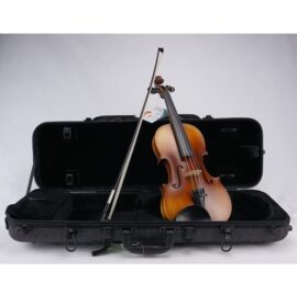 Paesold PA801E Violin Outfit