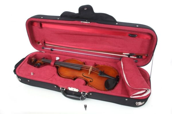 Caswells Maestro violin outfit