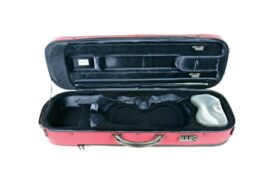 BAM stylus oblong violin case