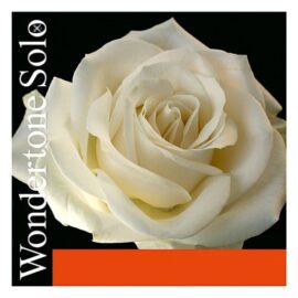 Wondertone Solo Violin G string
