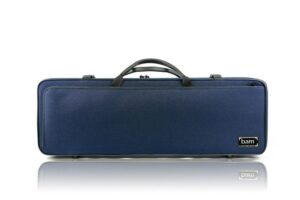 BAM Classic violin case
