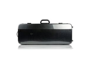 BAM hightech double violin case