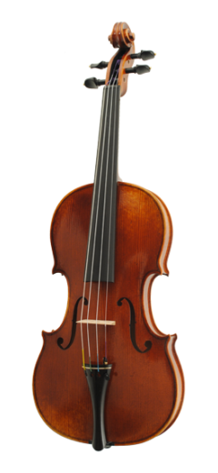 Paesold PA803E-AS Violin
