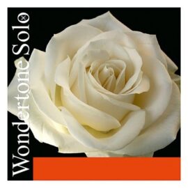 Wondertone Solo Violin A string