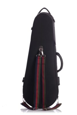 BAM Stylus St Germain shaped viola case