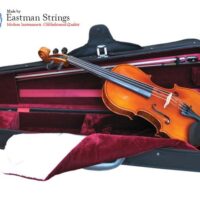 Eastman shop strings violin