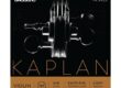 Kaplan Amo violin set