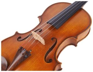 Paesold PA805GG violin