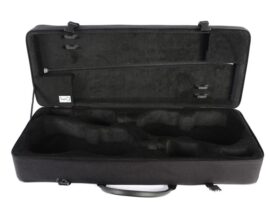 BAM Classic Double Violin case