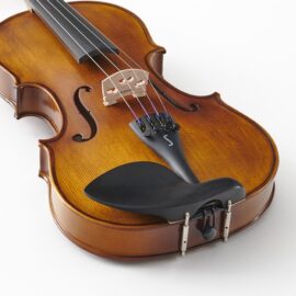 Stentor Graduate Violin body
