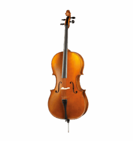Paesold PA601E Cello