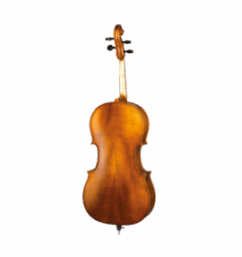 Paesold PA601E Cello back
