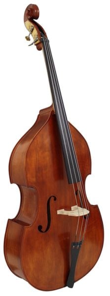 Double Bass Instruments - Caswells Strings UK