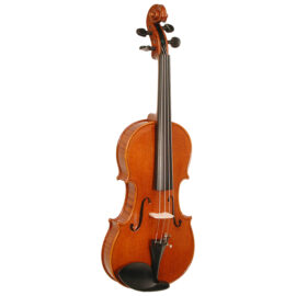 Stentor Arcadia Violin