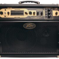 Peavey Ecoustic E110 Acoustic amplifier