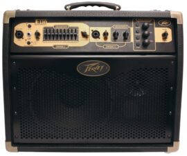 Peavey Ecoustic E110 Acoustic amplifier