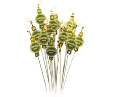 Eudoxa-Oliv Viola C string