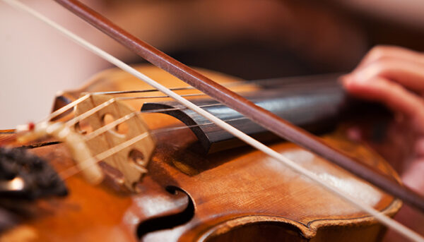 19/4 - Everything you need to know about violin bows - Caswell's Strings