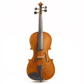 Stentor Elysia Viola