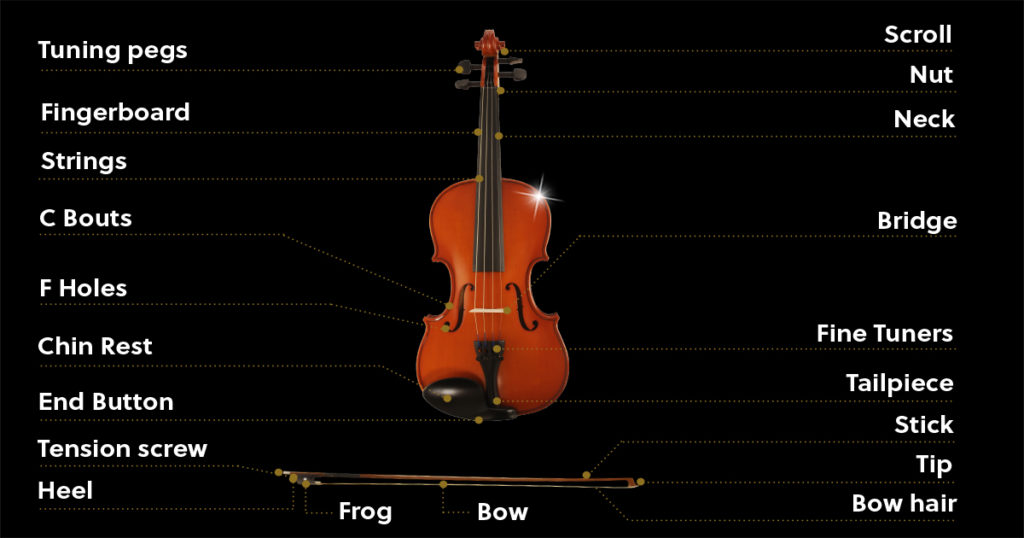 Скрипичный график. Violin диаграмма. Upper bout, of the Violin. Violin Tuning. Cello String height.