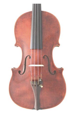 Wessex M series Violin