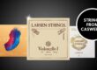 caswell's instrument strings